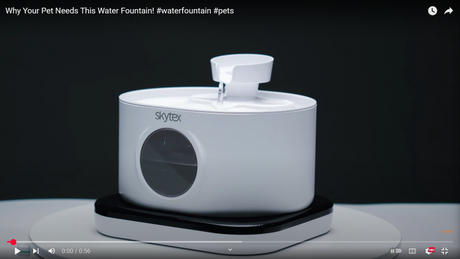 Why Smart Pet Owners Are Switching to This Water Fountain!