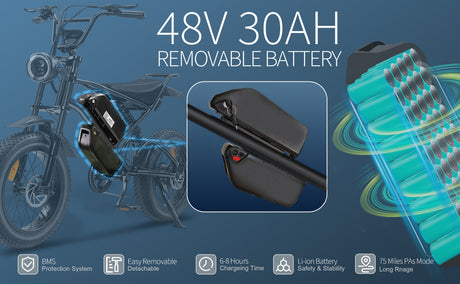 V2 Max Ebike 1000W Motor 48V30Ah Battery 20 Inches Max Speed 40-50KM - LYDARZ