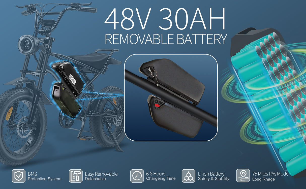 V2 Max Ebike 1000W Motor 48V30Ah Battery 20 Inches Max Speed 40-50KM - LYDARZ