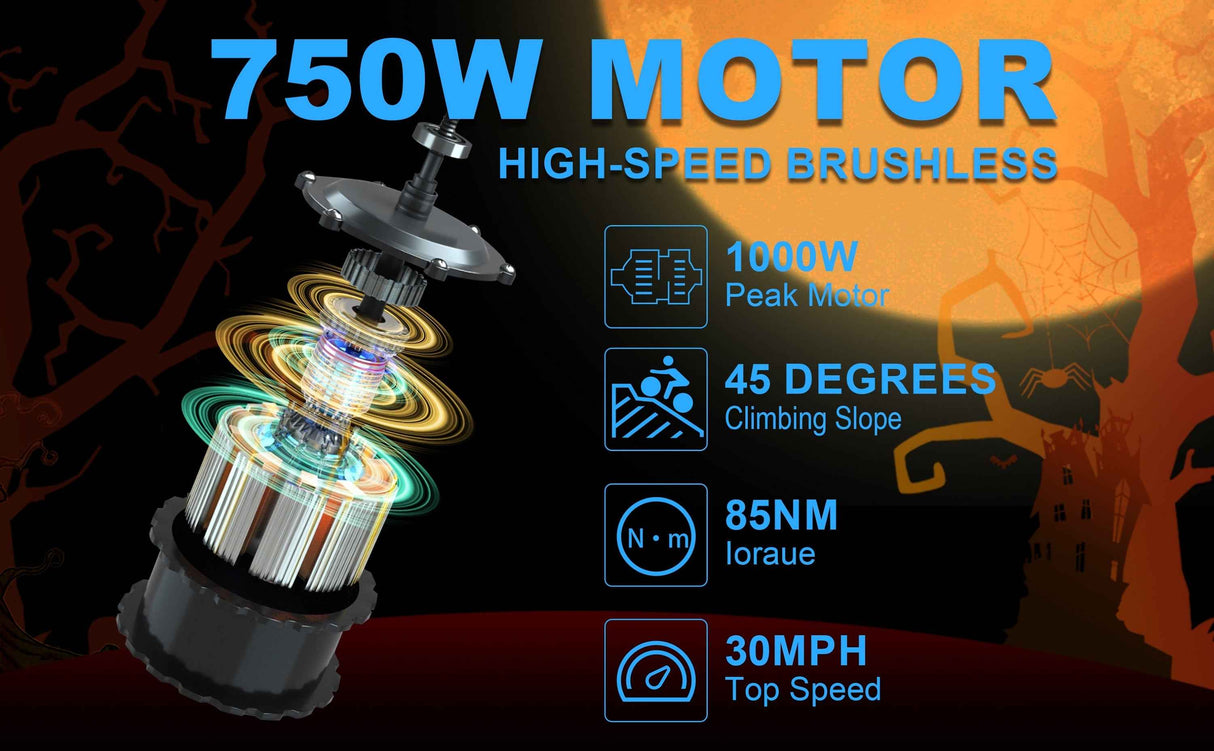 Ebike,750W Motor,Maximum Speed 40KM-H,Electric Dirt Bikes