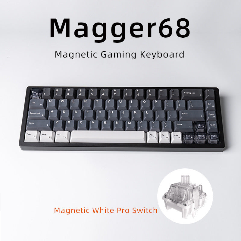 Magnetic Gaming Keyboard White Porcelain Jade 68 Key Aluminum Tuo Keyboard - LYDARZ