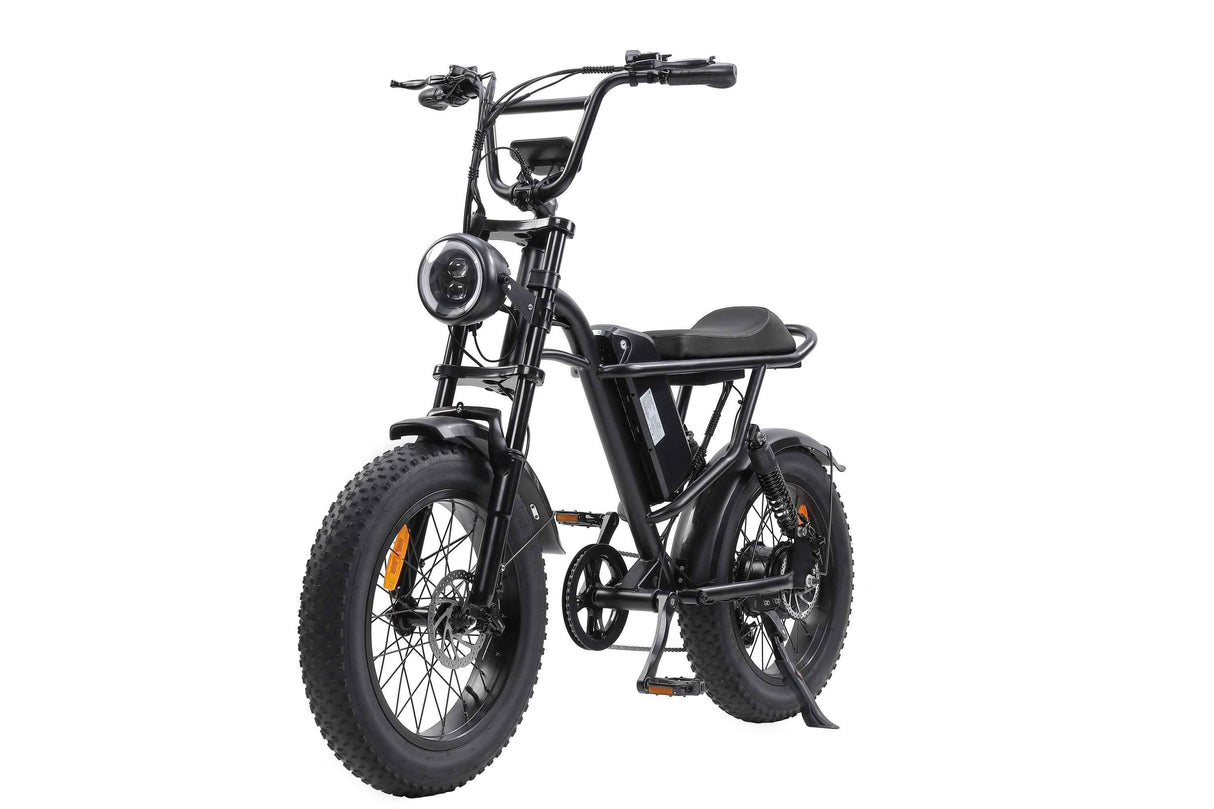 Ebike,750W Motor,Maximum Speed 40KM-H,Electric Dirt Bikes
