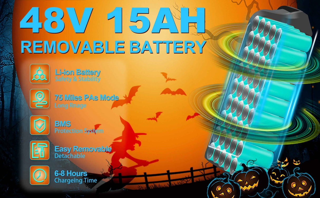 Ebike,750W Motor,Maximum Speed 40KM-H,Electric Dirt Bikes