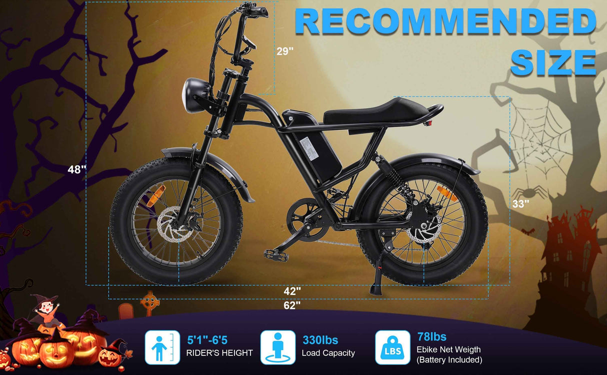 Ebike,750W Motor,Maximum Speed 40KM-H,Electric Dirt Bikes