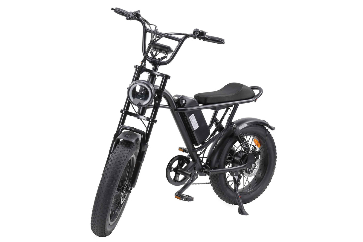 Ebike,750W Motor,Maximum Speed 40KM-H,Electric Dirt Bikes