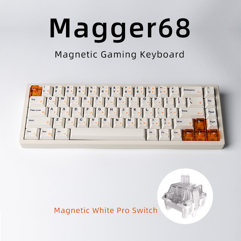 Magnetic Gaming Keyboard White Porcelain Jade 68 Key Aluminum Tuo Keyboard - LYDARZ