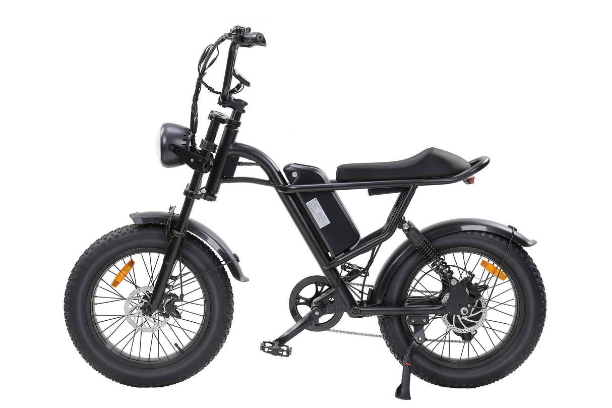 Ebike,750W Motor,Maximum Speed 40KM-H,Electric Dirt Bikes