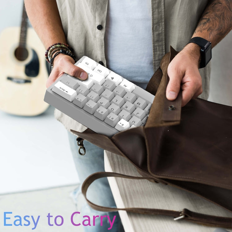 AULA F3261 RGB Mechanical Keyboard - Type-C Wired Hot Swappable 61 Keys with RGB Lighting