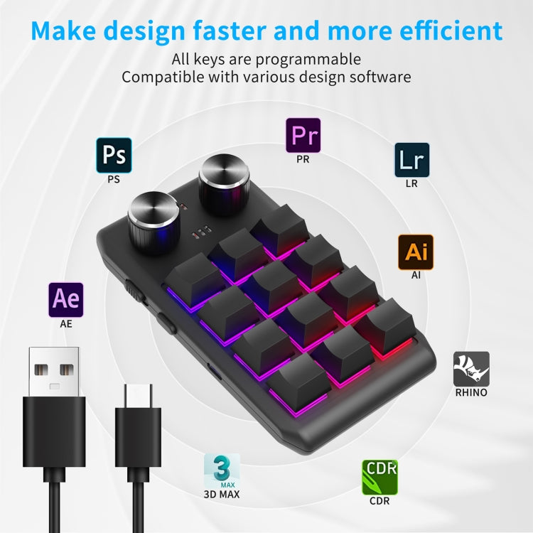 12KV2 MOLD Mini Mechanical 12 Keys 2 Knob Custom Programming Keyboard - LYDARZ