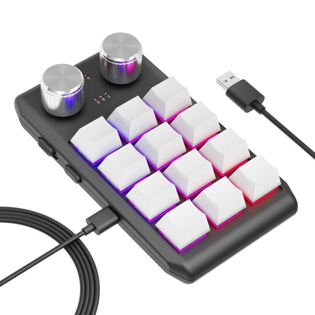 12KV2 MOLD Mini Mechanical 12 Keys 2 Knob Custom Programming Keyboard - LYDARZ