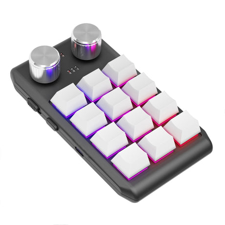 12KV2 MOLD Mini Mechanical 12 Keys 2 Knob Custom Programming Keyboard - LYDARZ