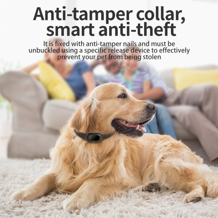 V41 Smart GPS Tracker for Pets, Waterproof IP67, 2G/4G Versions - LYDARZ