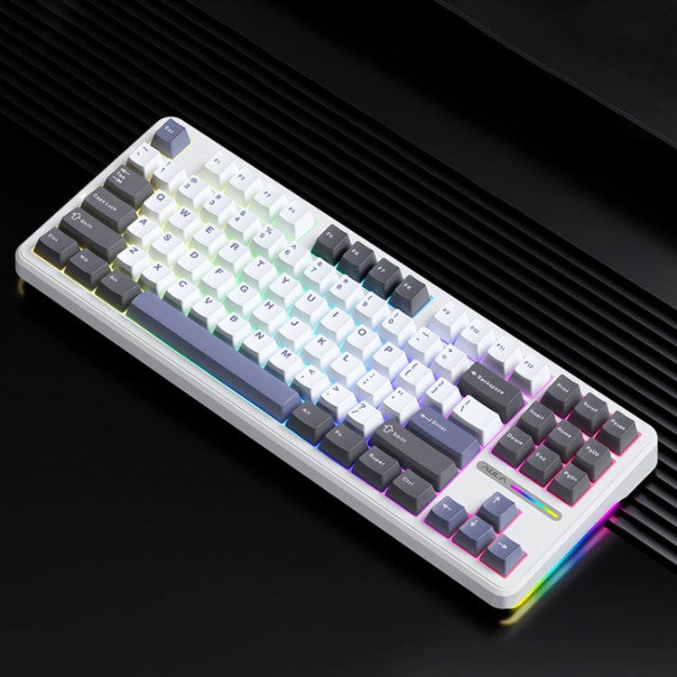 AULA F87: Mechanische RGB-Tastatur mit 87 Tasten – Kabelgebunden/2,4G/Bluetooth