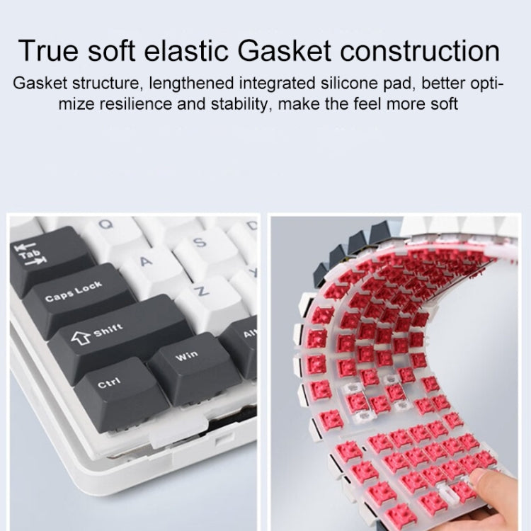 AULA F87: Mechanische RGB-Tastatur mit 87 Tasten – Kabelgebunden/2,4G/Bluetooth