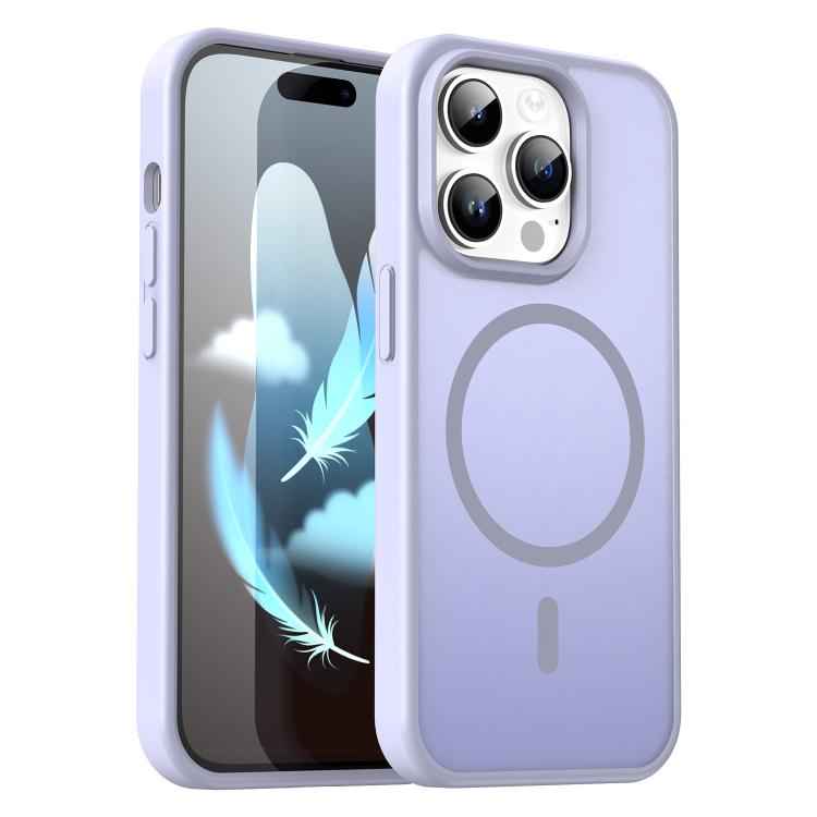 Fanying Series PC Hybrid TPU Translucent Frosted MagSafe Phone Case