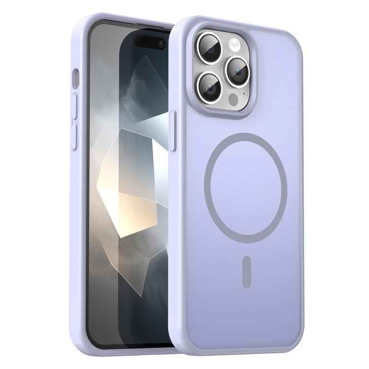 Fanying Series PC Hybrid TPU Translucent Frosted MagSafe Phone Case