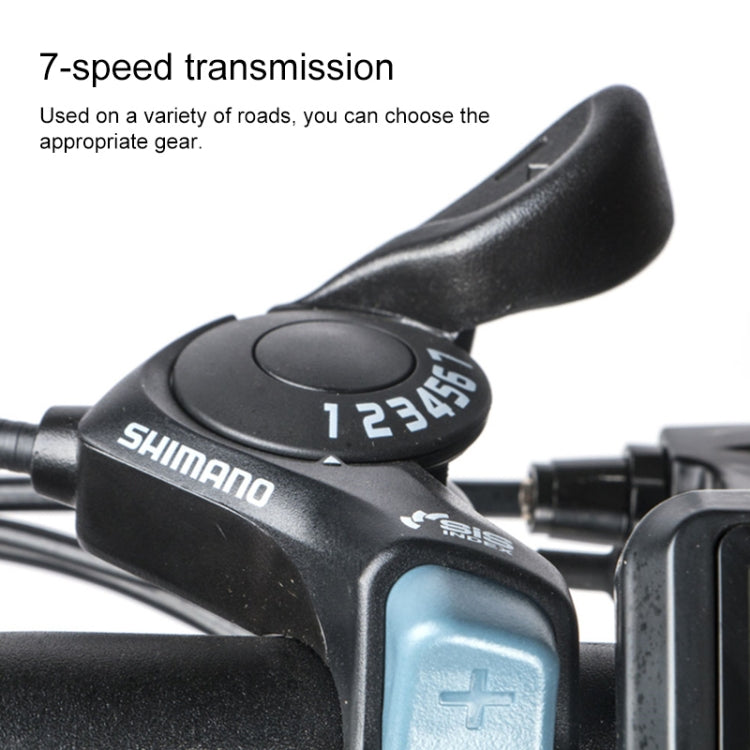 20LVXD30 48V 350W Foldable Electric Bike - Black & White - LYDARZ