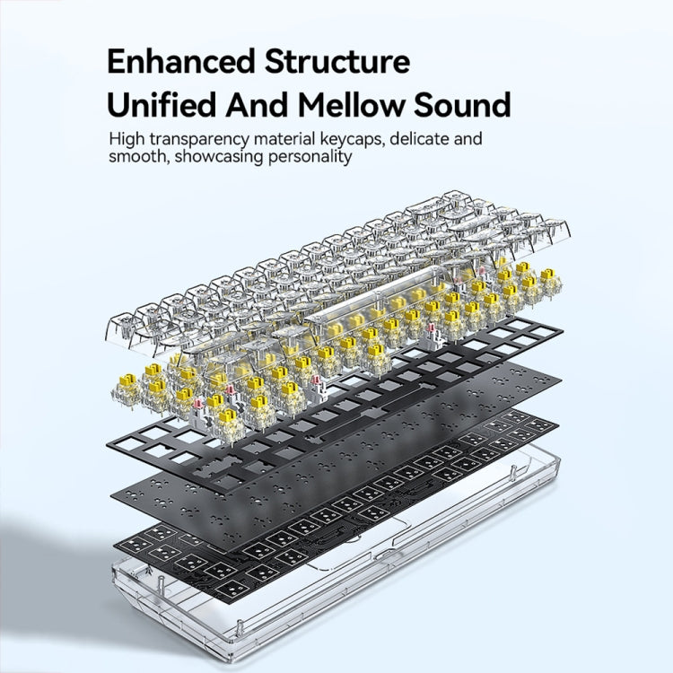 T-WOLF T40 68-Tasten RGB Mixed Light Office Gaming Transparente mechanische Tastatur