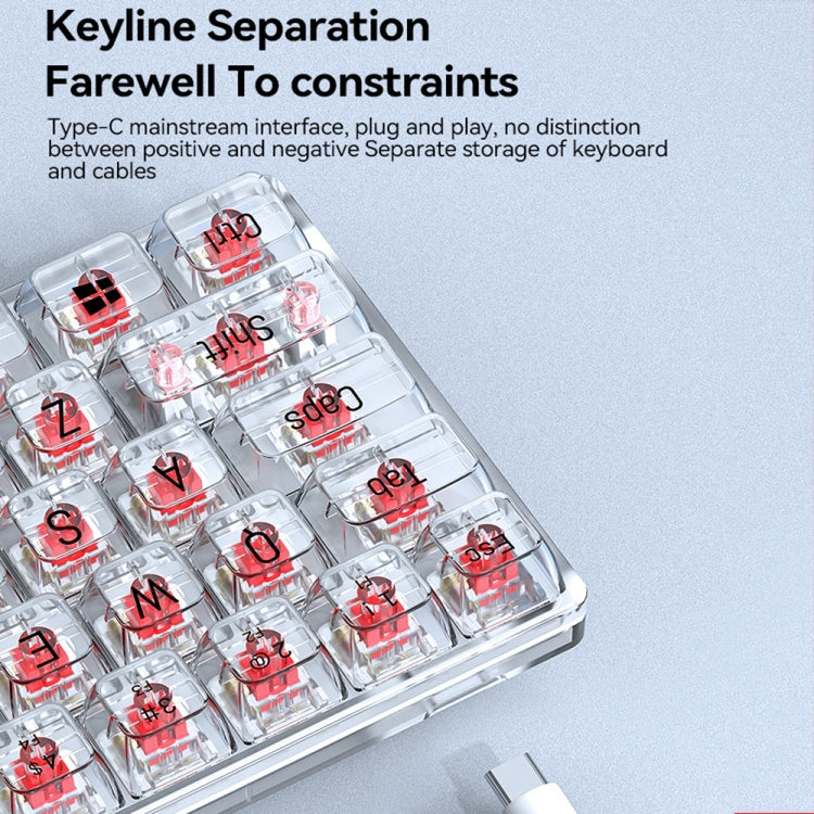 T-WOLF T40 68-Tasten RGB Mixed Light Office Gaming Transparente mechanische Tastatur