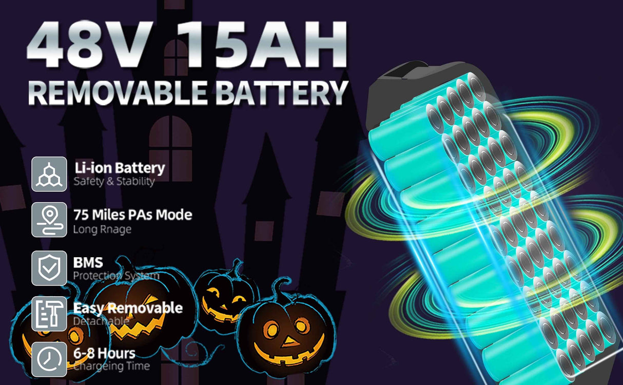 Ebike,1000W Motor,Maximum Speed 45-50KM,Electric Dirt Bikes