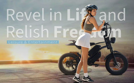 V2 Max Ebike 1000W Motor 48V30Ah Battery 20 Inches Max Speed 40-50KM - LYDARZ