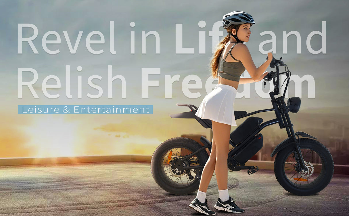 V2 Max Ebike 1000W Motor 48V30Ah Battery 20 Inches Max Speed 40-50KM - LYDARZ