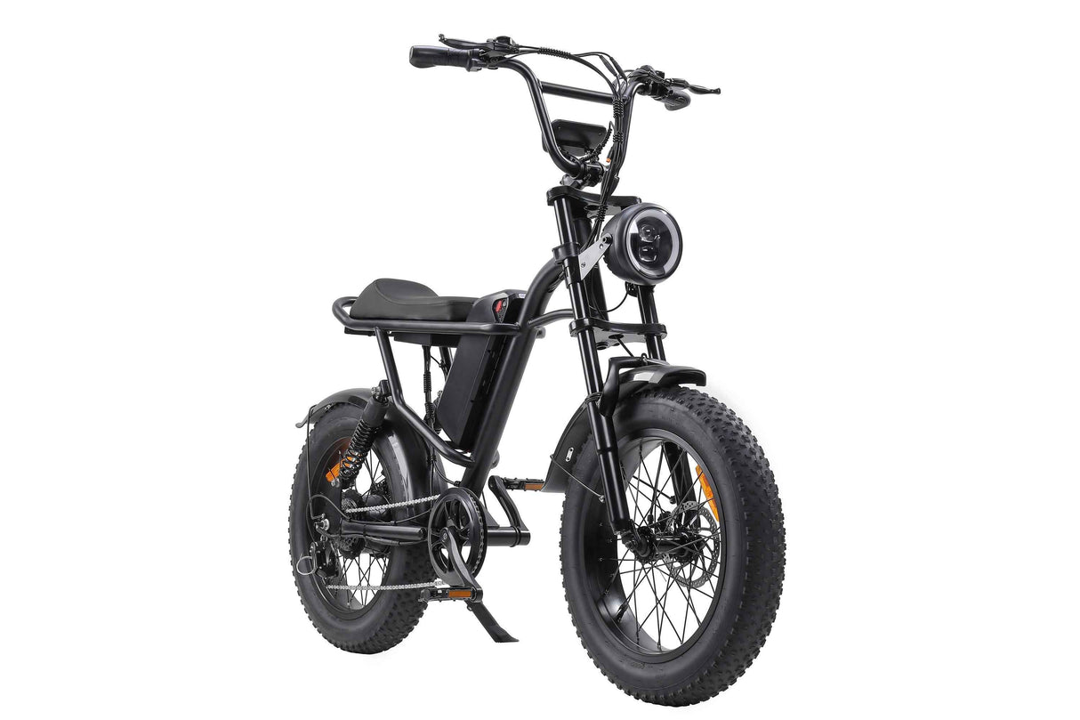 Ebike,750W Motor,Maximum Speed 40KM-H,Electric Dirt Bikes
