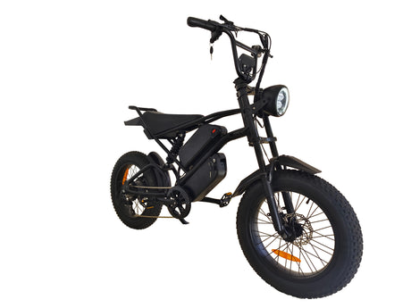 V2 Max Ebike 1000W Motor 48V30Ah Battery 20 Inches Max Speed 40-50KM - LYDARZ