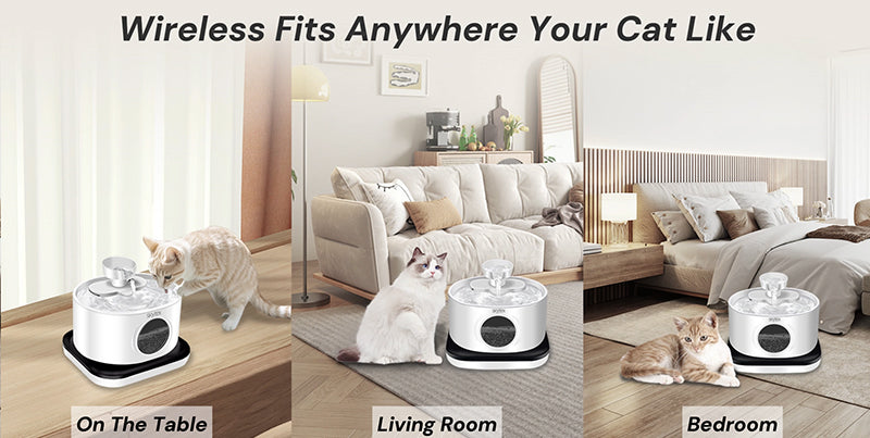 Smart Pet Drinking Fountain: Why Water is Vital for Your Cat or Dog’s Health