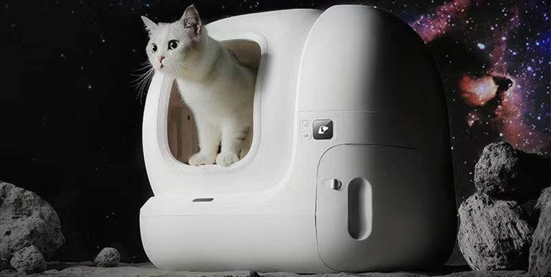 3 Simple Tips to Help Your Cat Adjust to the LYDARZ Smart Litter Box