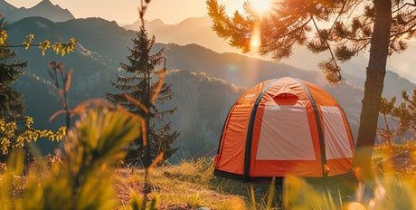 Camping with Your Dog? LYDARZ Tent Makes It Easier!