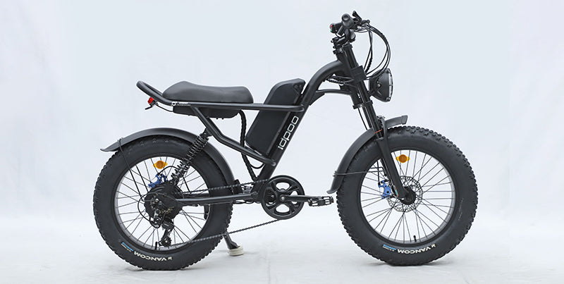 Fat Tire E-Bike vs. Mountain Bike: Which One is Best for Off-Road Adventures?