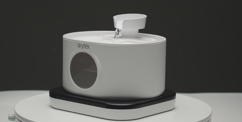 Skytex Pet Smart Drinking Fountain vs. Traditional Water Bowl: Which One is Better for Your Pet?