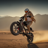 [US warehouse] DUOTTS F20 Electric Bike 1000 W Powerful Motor,130-140 KM Extended Range（副本）