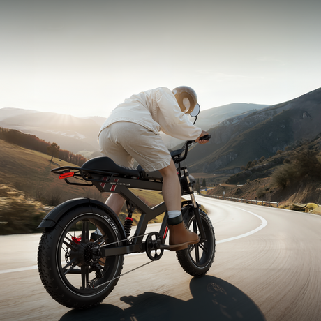 [US warehouse] DUOTTS F20 Electric Bike 1000 W Powerful Motor,130-140 KM Extended Range（副本）