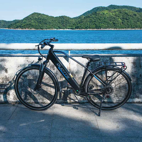 C29 Lite Electric Bike
