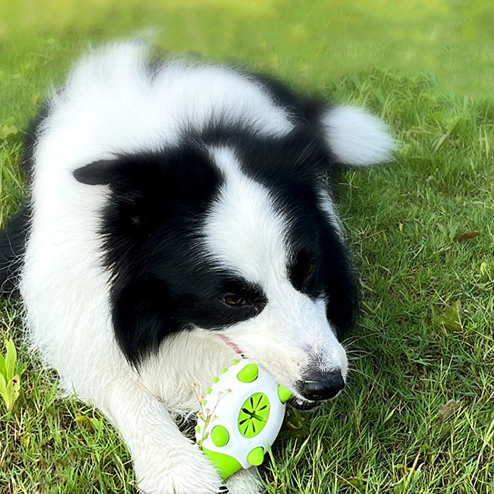 Phedgehog Shape Dog Toys，Pet Supplies