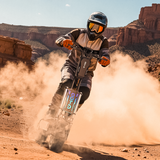 T90 E-SCOOTER 6000W, 25 km/h, 100 km range , 60V 31.2Ah Battery