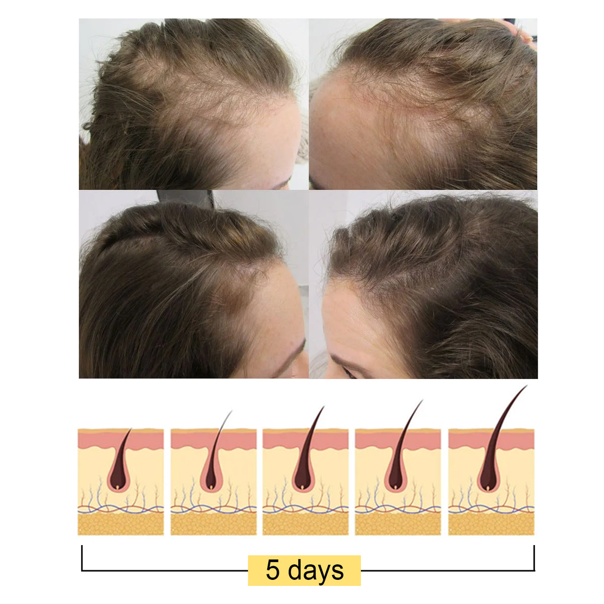 ff588ef2-1207-4f7d-a20c-752ce0422919