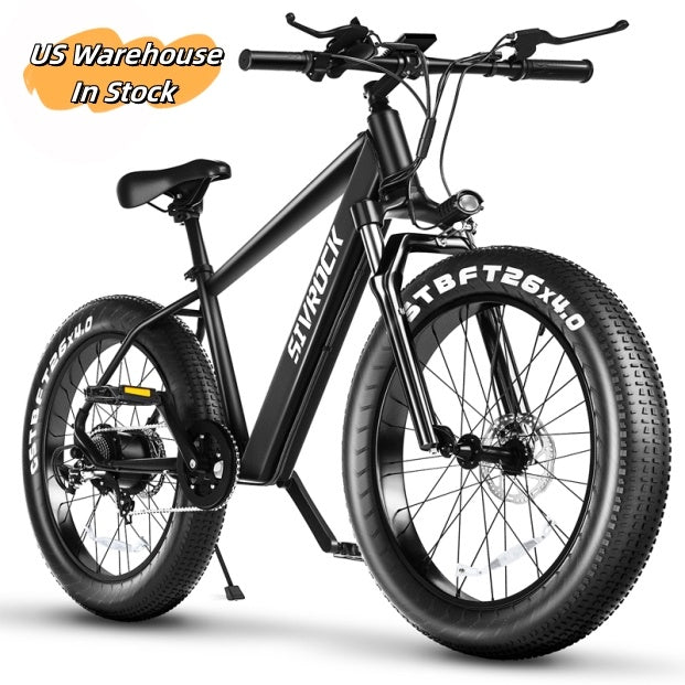 Professional Electric Bike For Adults,Electric Dirt Bikes