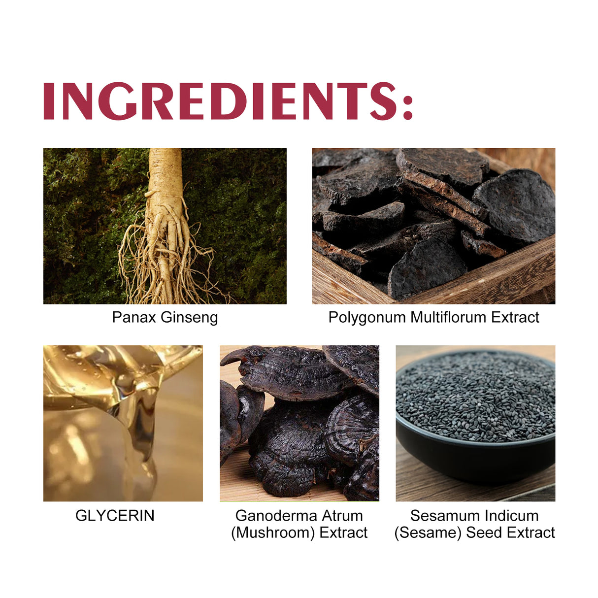 e6116174-795b-412f-9176-612b542ec309