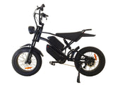 V2 Max Ebike 1000W Motor 48V30Ah Battery 20 Inches Max Speed 40-50KM