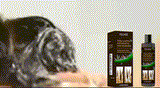 d46e3260-7e99-400d-8933-1fe089385a05