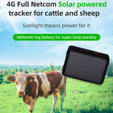 V44 Solar-Powered Livestock GPS Tracker – Waterproof & Durable Tracking for Cattle & Sheep