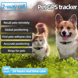 Rastreador GPS V41 para mascotas - Resistente al agua IP67, disponible en versiones 2G/4G