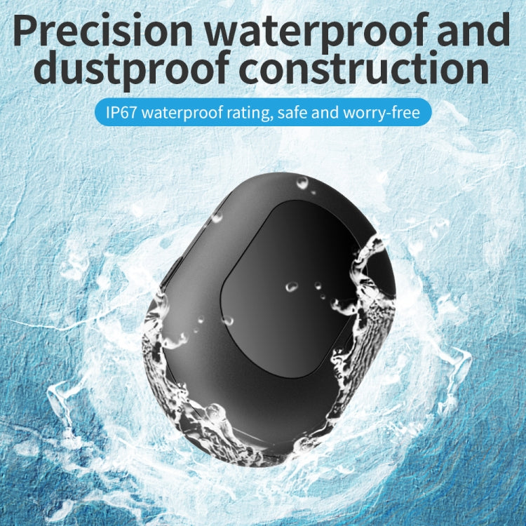 Rastreador GPS V41 para mascotas - Resistente al agua IP67, disponible en versiones 2G/4G