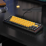 AULA F65: 3-Mode RGB Mechanical Keyboard | 67 Keys