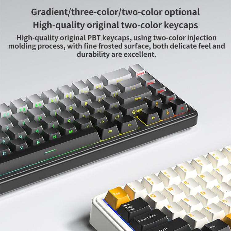 AULA F65 67 Keys 2.4G / BT / Wired Three Model RGB Gaske Mechanical Keyboard - LYDARZ