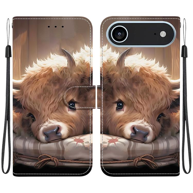 Crystal Texture Colored Drawing Leather Phone Case