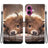 Crystal Texture Colored Drawing Leather Phone Case